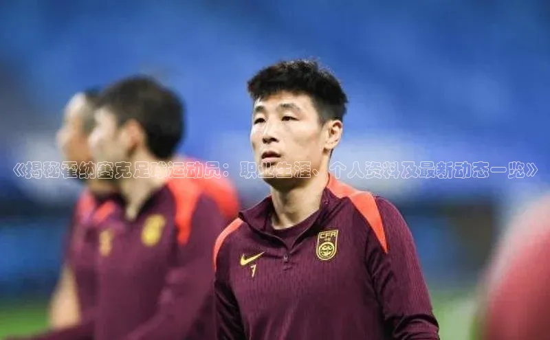 beat365官网 网页版百度大脑《揭秘霍纳塞克足球运动员：职业生涯、个人资料及最新动态一览》