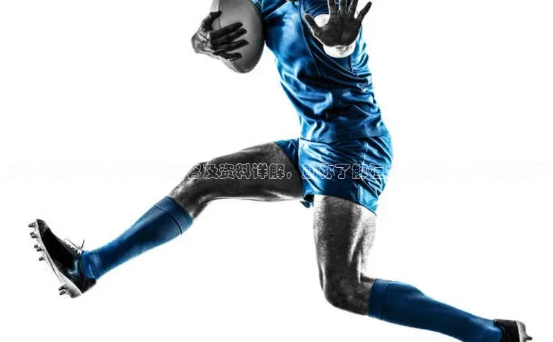 beat365 手机版官方网站雷柏科技恒大足球俱乐部的球员阵容及资料详解，助你了解恒大足球队众多精英球员