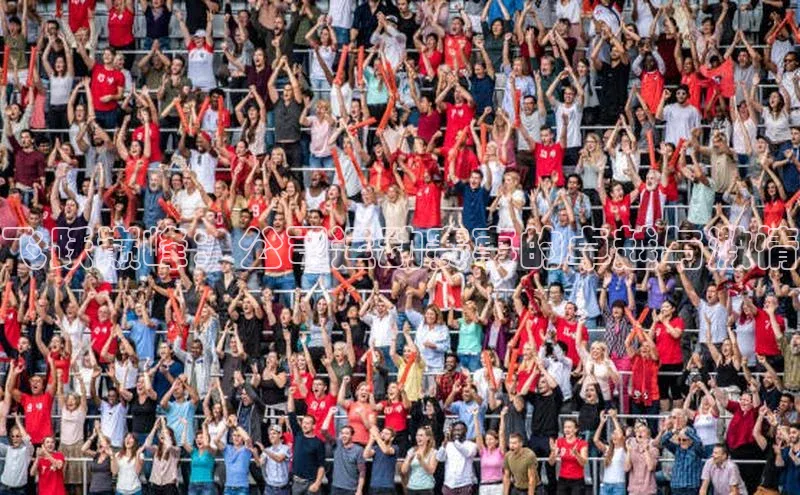 飞跃巅峰：公司运动赛事的卓越与激情