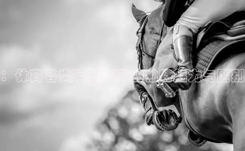 ：体育各类运动赛事的独特魅力与区别