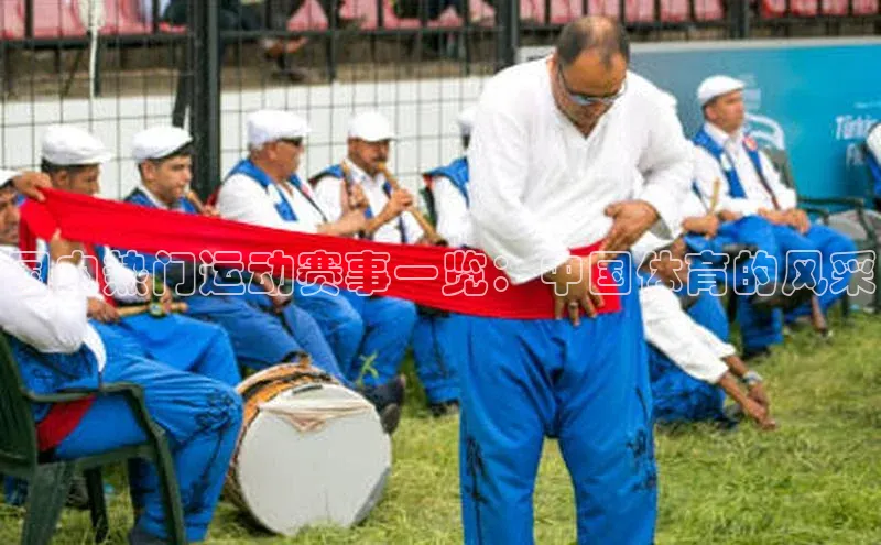 国内热门运动赛事一览：中国体育的风采