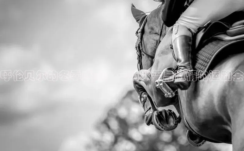 呼伦贝尔的冬季盛宴：一场冰雪与激情的运动会