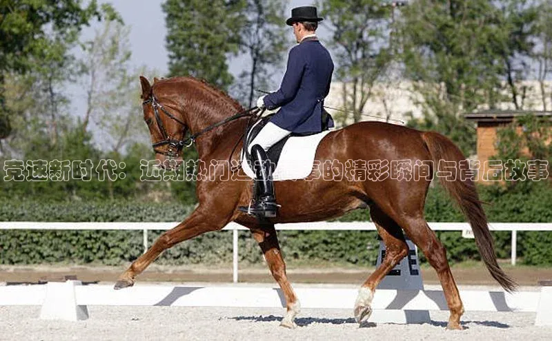 竞速新时代：近期热门运动赛事的精彩瞬间与背后故事