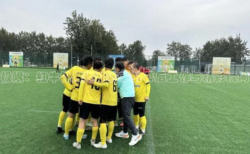 极限：红牛极限运动赛事的幕后工作与精彩瞬间