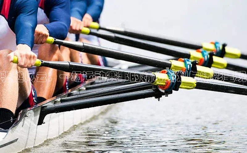 驰越风云：一场运动赛事的精心规划与精彩呈现