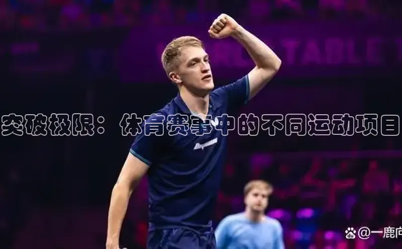 突破极限：体育赛事中的不同运动项目