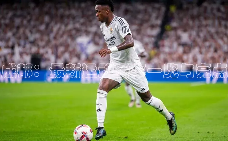 成都：最新运动赛事一览与亮点