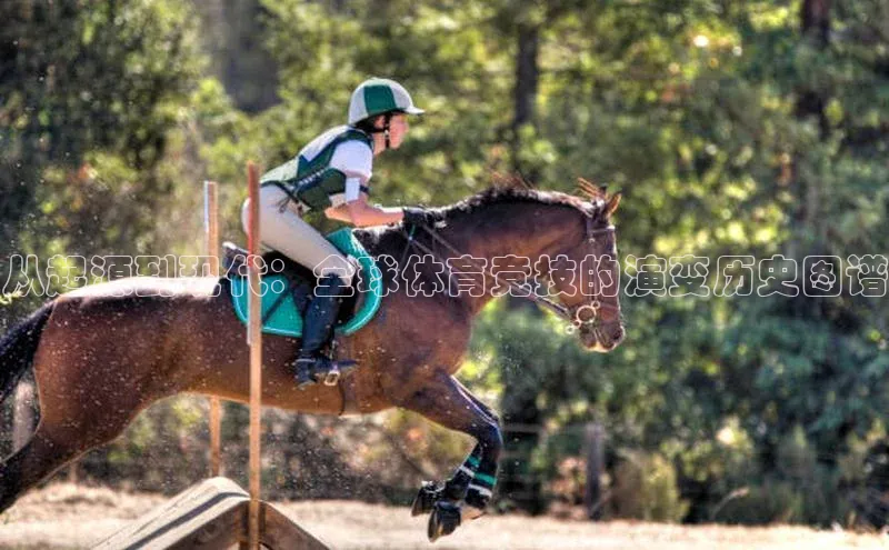 从起源到现代：全球体育竞技的演变历史图谱