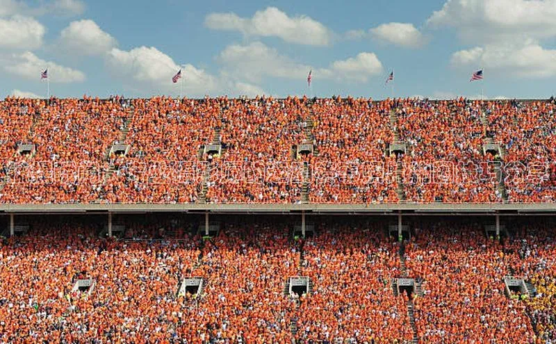捕捉瞬间：专业摄影师的运动赛事照片构图技巧分享