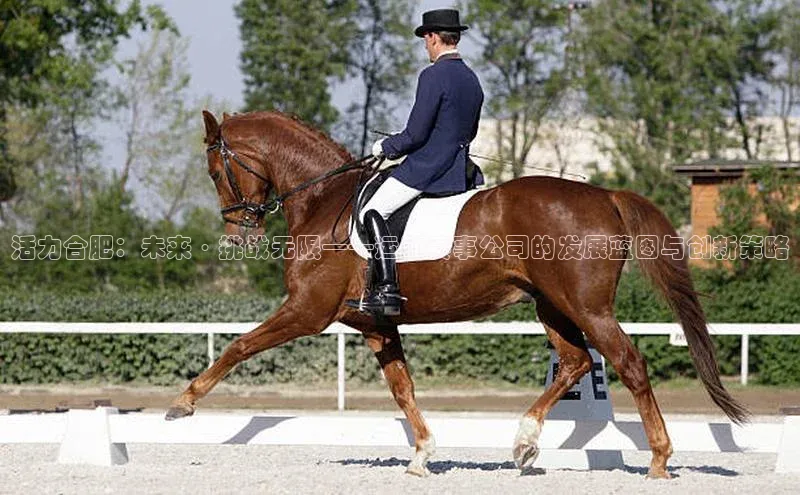 beat365 手机版官方网站