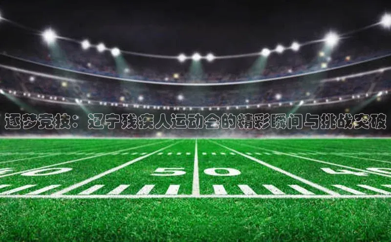 逐梦竞技：辽宁残疾人运动会的精彩瞬间与挑战突破